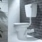 40216 1.jpg